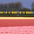 Source : Lonely Planet