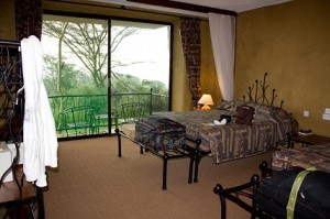 serengeti4