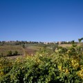 paysage