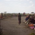 L’œuf ou la poule au Serengeti Toc, toc, toc, sur la fenêtre du 4×4. Toc de l’autre côté. Toc à l’arrière, à l’avant. Une main vieillie par la...