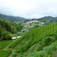Une route du thé au Japon – La suite Vous avez aimé la première partie de mon aventure du thé au Japon? Voici la suite : L’ouïe : Sutaba et depâto En...