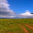 Sur la route avec bébé J’ai toujours adoré rouler en voiture. Conduire longuement sur des chemins de terre campagnards ou encore rouler vivement sur l’autoroute. Durant des...