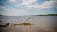 Petite revue de la semaine : petit Compostelle et Citi Bike Le petit Compostelle Un chemin de Compostelle au Québec? Oui! Tracé en 2009 par Sylvie Cimon au Saguenay-Lac-Saint-Jean, le sentier de Notre-Dame-de-Kapatakan...