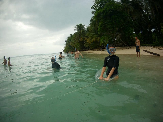 La fameuse planche de deep-boarding