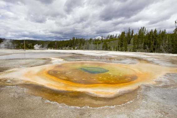 Le parc de Yellowstone par Alain Roberge, La Presse