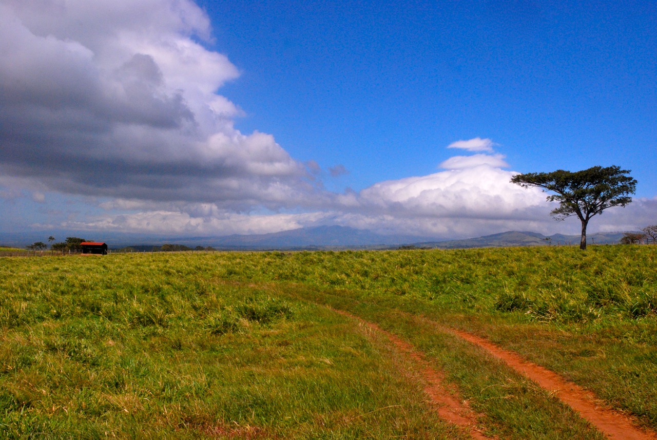 Sur la route Mawoui