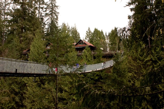 Capilano suspension bridge 2