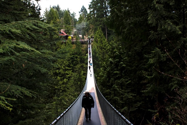 Capilano suspension bridge