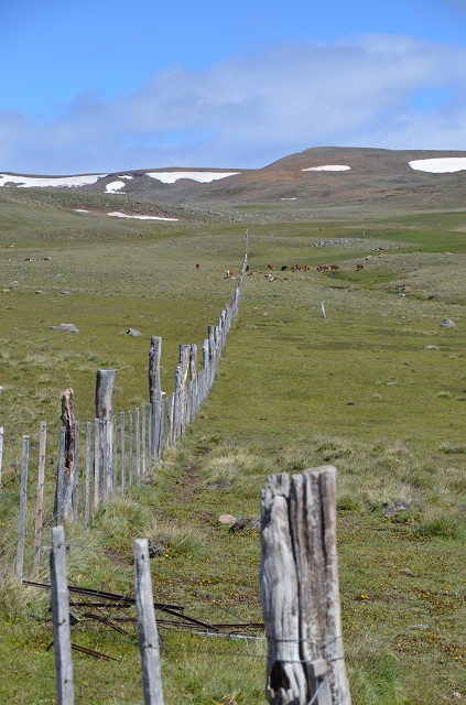 Les terres de Julian Argentine El Calafate