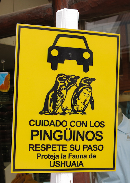Attention aux pingouins Ushuaia