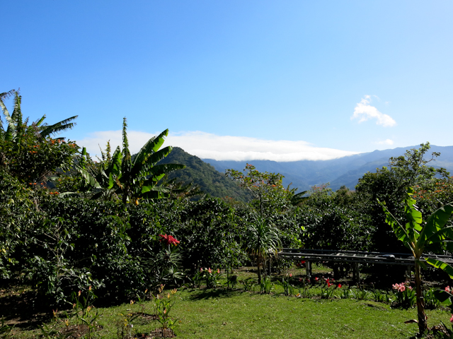 Boquete montagnes du Panama