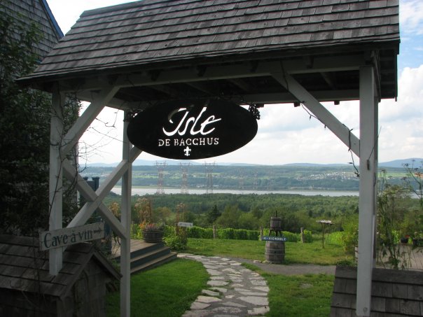 Le vignoble L'Isle de Bacchus