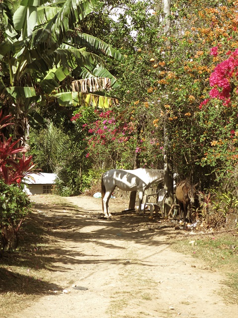 Santa Fe Panama