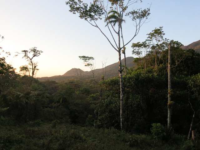 nature Santa Fe Panama