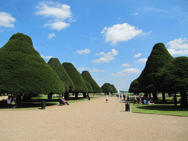 Arbres bien taillés