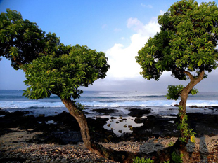 Hawaii Big Island Kona 