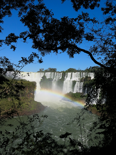 Les chutes d'Iguazu en Argentine à travers les arbres