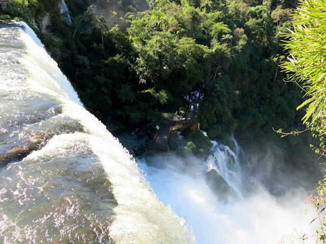 Plongée dans les chutes d'Iguazu en Argentine