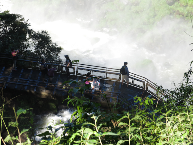 Une vue imprenable sur les chutes d'Iguazu en Argentine