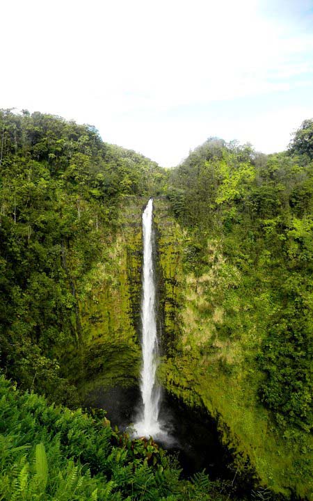 Akaka Falls State Park Hawaii Big Island