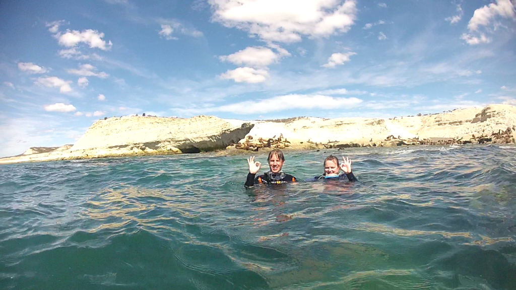 Devant les lions de mer - Lobo Larsen - Puerto Madryn, Argentine