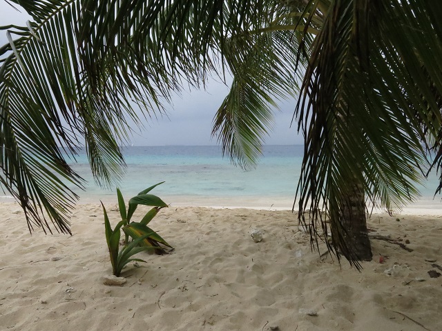 La vue de mon hamac - Isla Iguana, San Blas, Panama