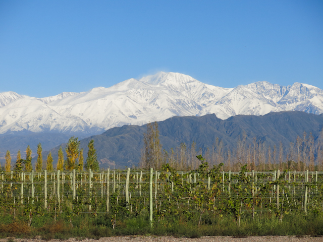 Vue sur la région de Lujan de Cuyo du vignoble Ruca Malen - Mendoza, Argentine