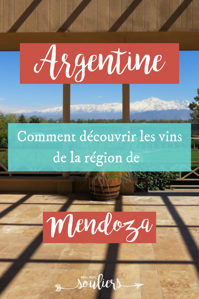 Découverte des vins de l'Argentine en voyage