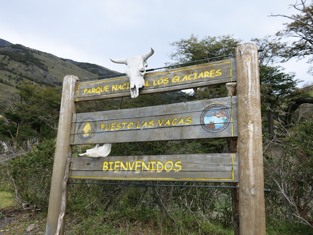 Parc national des glaciers - Cruceros MarPatag - El Calafate, Argentine