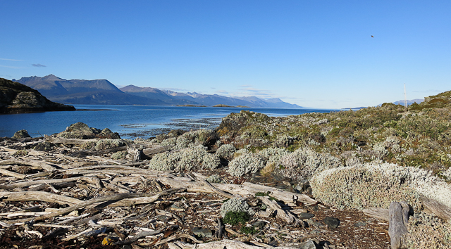 Vue de l'Isla H - Ushuaia, Argentine