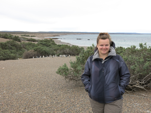 Petite visite chez les pingouins - Punta Tombo, Argentine