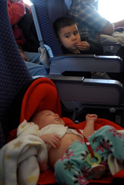Roukie bébé dans l'avion