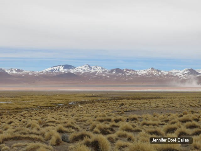 Laguna colorada - Désert de sel - Salar d'Uyuni, Bolivie