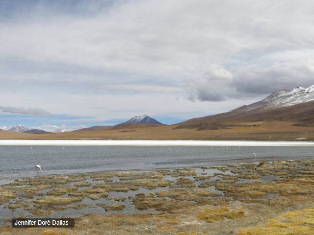 Lagune - Désert de sel - Salar d'Uyuni, Bolivie