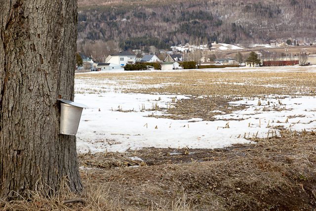 Petite marche dans Baie-St-Paul, Charlevoix