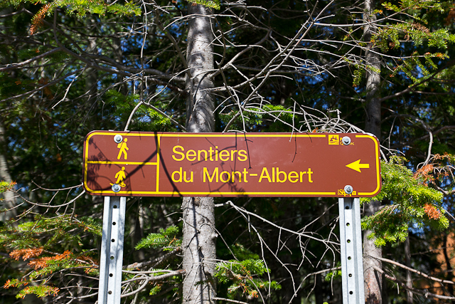 Affiche de sentier - L'Auberge Gîte du Mont-Albert, Gaspésie