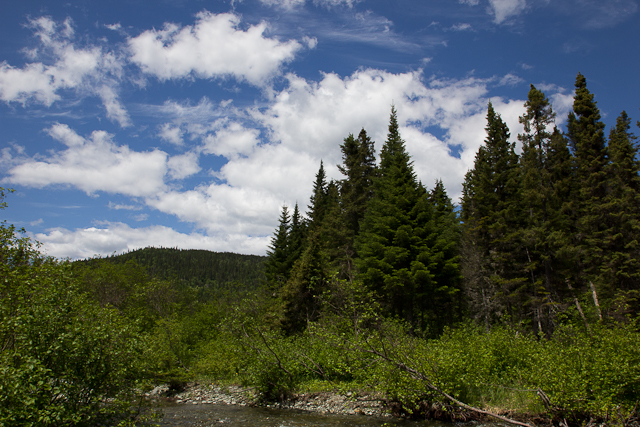 Ciel bleu sur la montagne - L'Auberge Gîte du Mont-Albert, Gaspésie