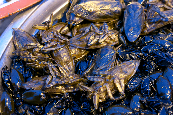 Des bonnes coquerelles à manger - River Garden StreetFood Tour – Siem Reap, Cambodge