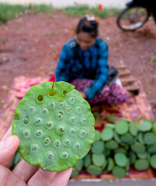 Fleurs de lotus, un délice que je ne connaissais pas - Siem Reap Street Food By Night tour - Cambodge