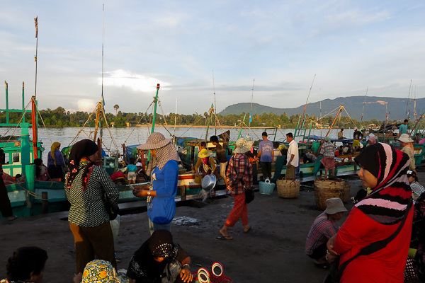 Marché aux poissons - Kampot, Cambodge