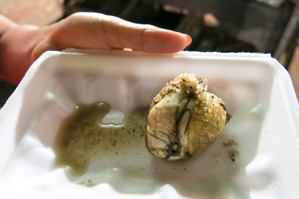 Pas osé goûter au balut... - Siem Reap Street Food By Night tour - Cambodge