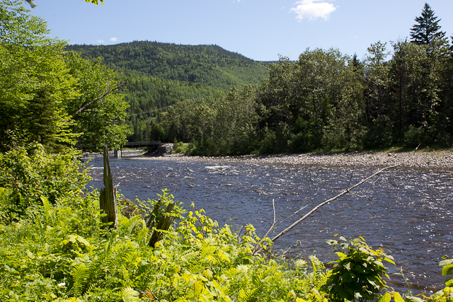 Sentier au bord de l'eau - L'Auberge Gîte du Mont-Albert, Gaspésie