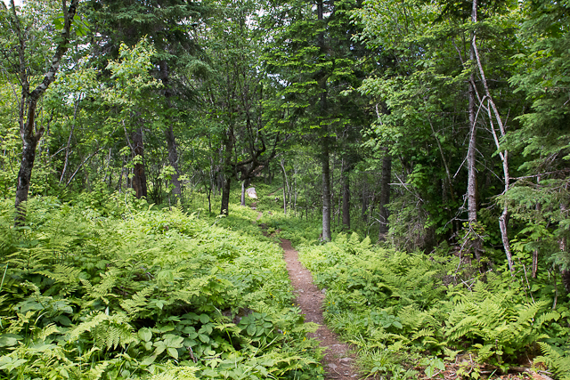 Sentier de randonnée