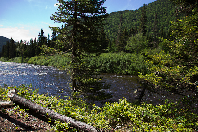 Vue sur la rivière - L'Auberge Gîte du Mont-Albert, Gaspésie