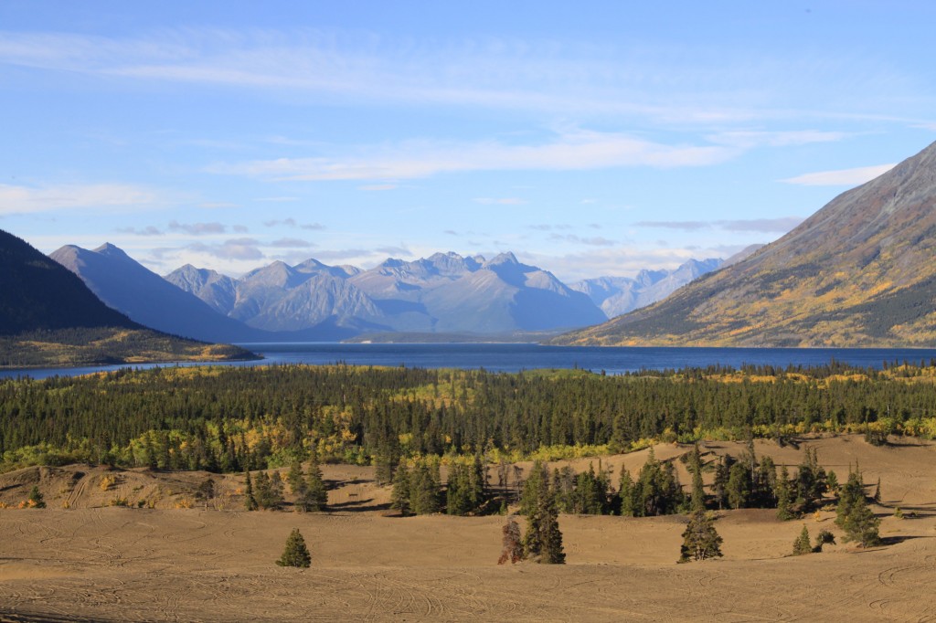 Le désert de Carcross