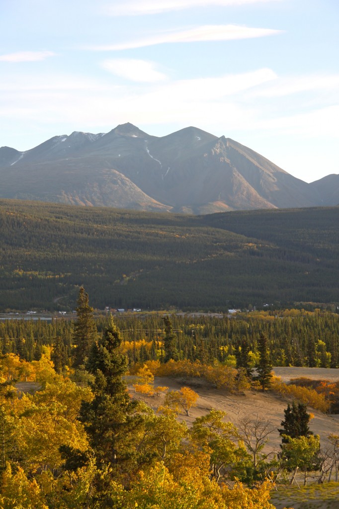 Montana Mountain, Carcross