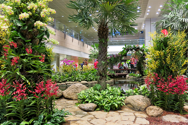 Aéroport de Singapour - Jardin intérieur