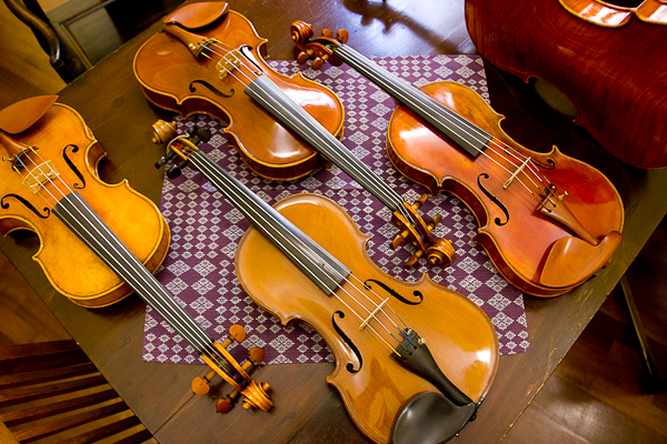 Des violons à plusieurs milliers d'euros - Edgar Russ Luthier - Cremona, Lombardie, Italie