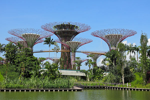 Gardens by the Bay - Singapour