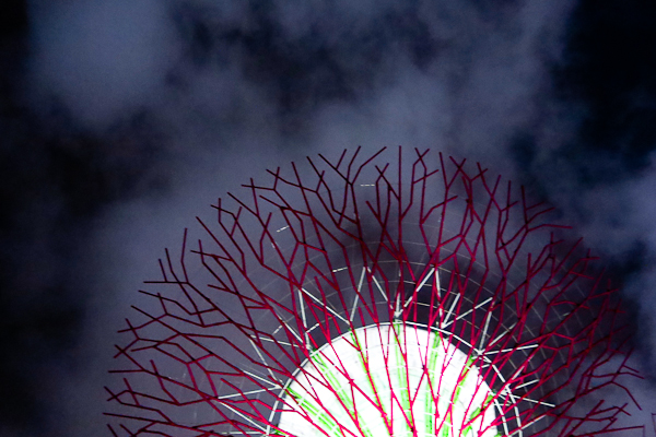 Gardens by the Bay - Spectacle sons et lumières - Singapour